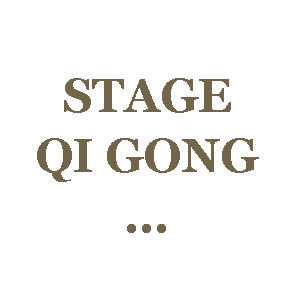Yogimag-LOGO STAGE QI GONG