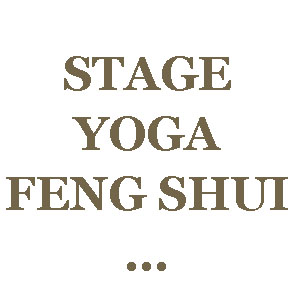 LOGO STAGE YOGA FENG SHUI