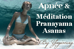 yogimag-meditation-apnee-yo