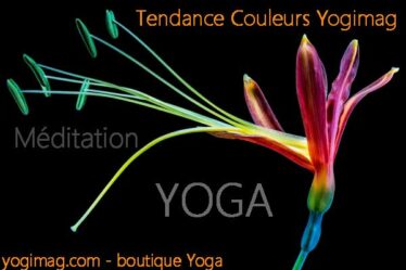 tendance couleurs yoga