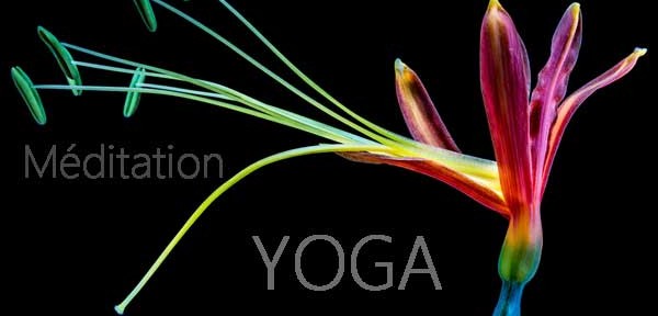 tendance couleurs yoga