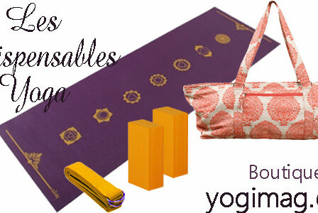 tapis, brique, sangle yoga