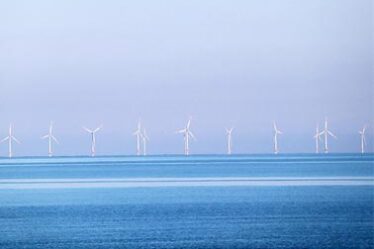 Les ravages des éoliennes