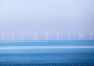 Les ravages des éoliennes