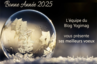 Bonne année 2025 de la part du Blog Yogimag