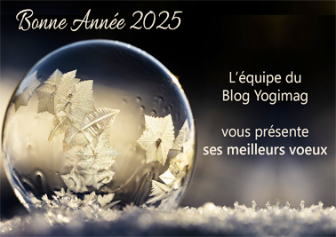 Bonne année 2025 de la part du Blog Yogimag