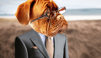 "Pet at works" ou le droit d'aller au travail avec son chien